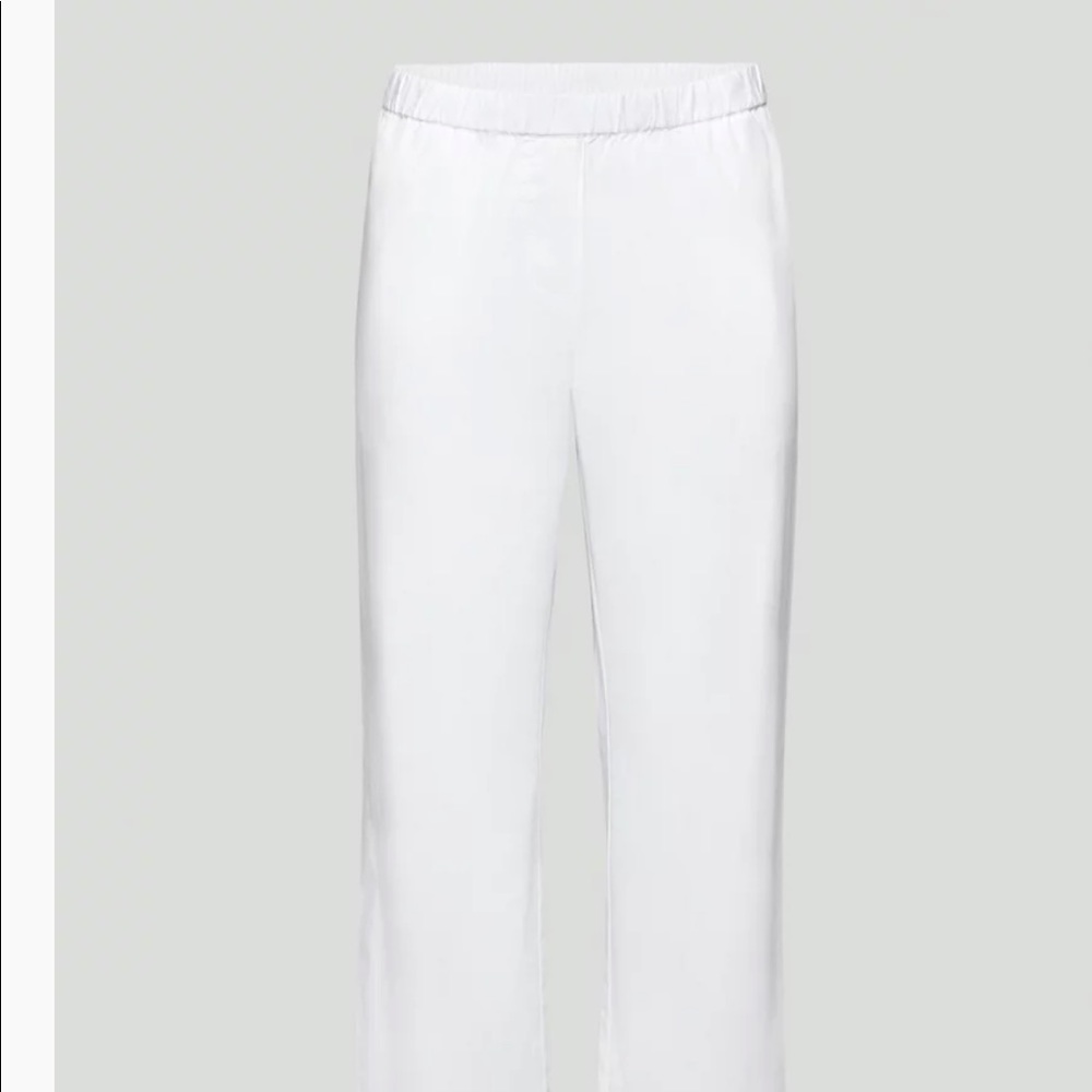ARITZIA BOARDWALK PANTS